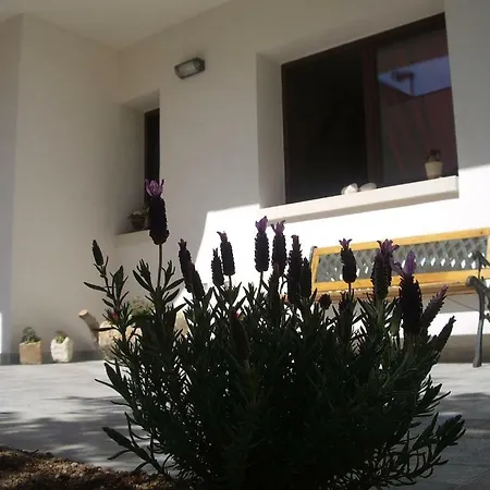 Διαμέρισμα L'asfodelo 2 *